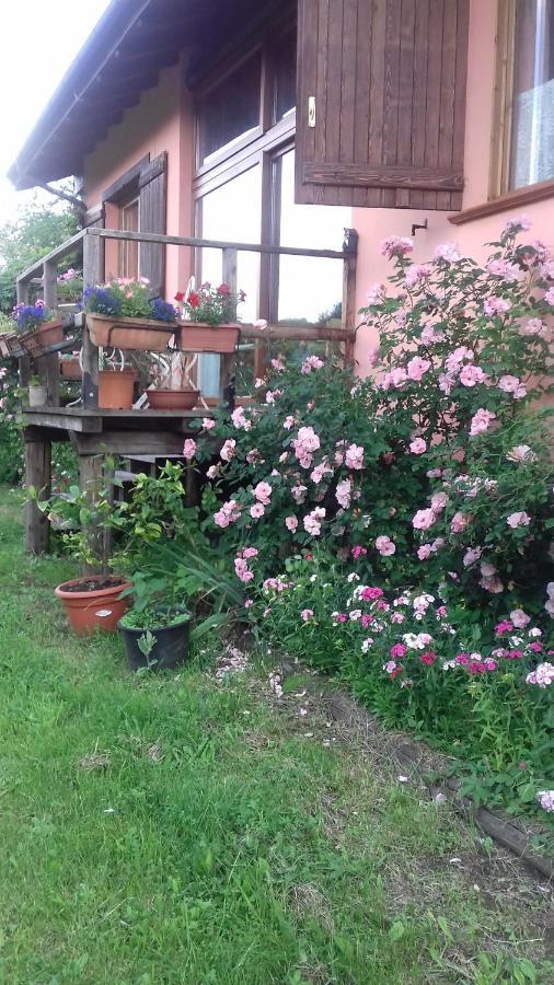 Il Pettirosso Di Giusvalla Zewnętrze zdjęcie
