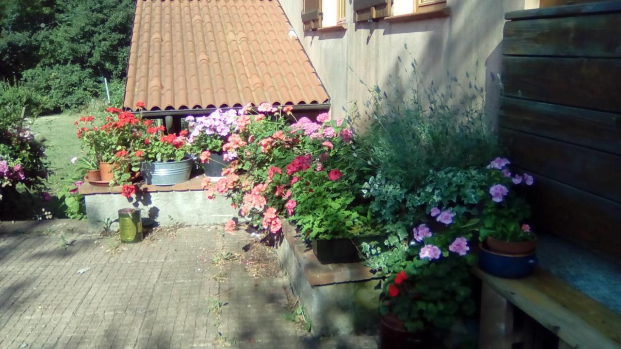Il Pettirosso Di Giusvalla Zewnętrze zdjęcie