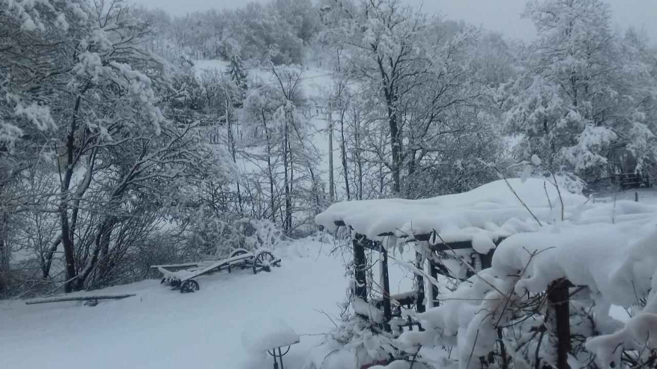 Il Pettirosso Di Giusvalla Zewnętrze zdjęcie