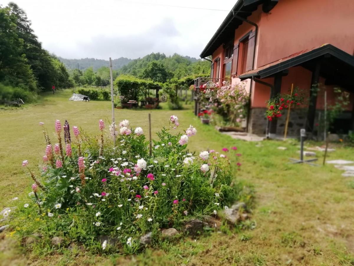 Il Pettirosso Di Giusvalla Zewnętrze zdjęcie