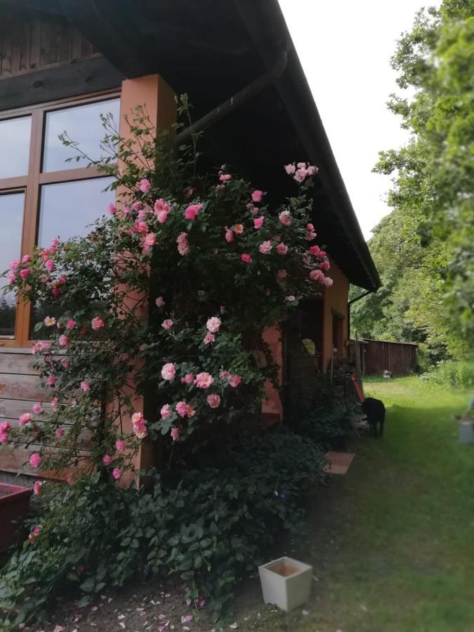 Il Pettirosso Di Giusvalla Zewnętrze zdjęcie